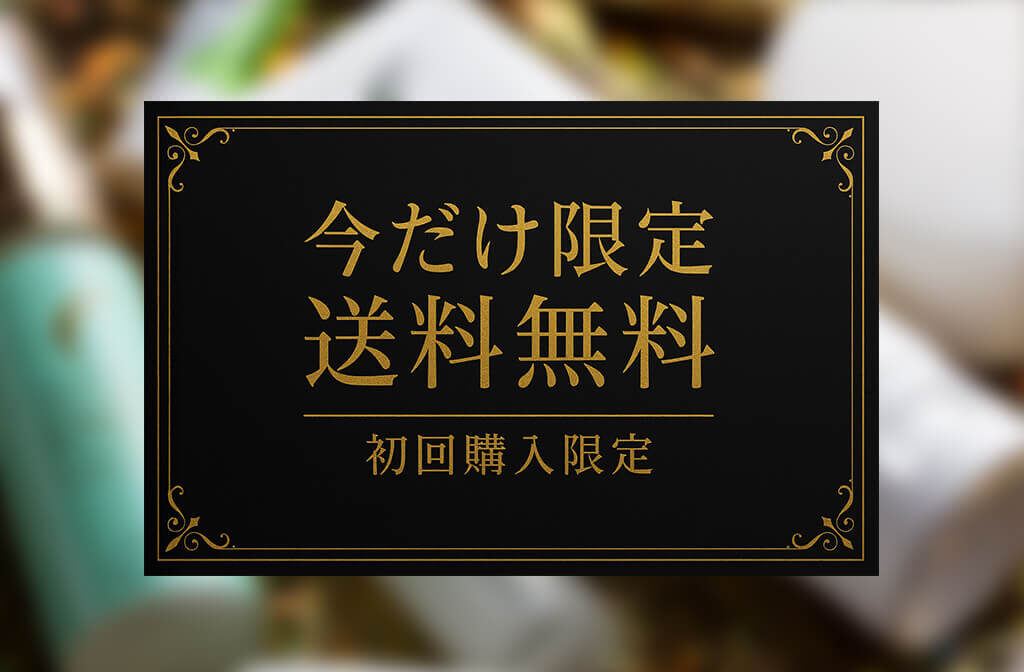 今だけ限定送料無料