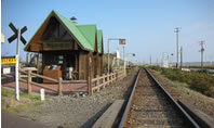 bio_image16