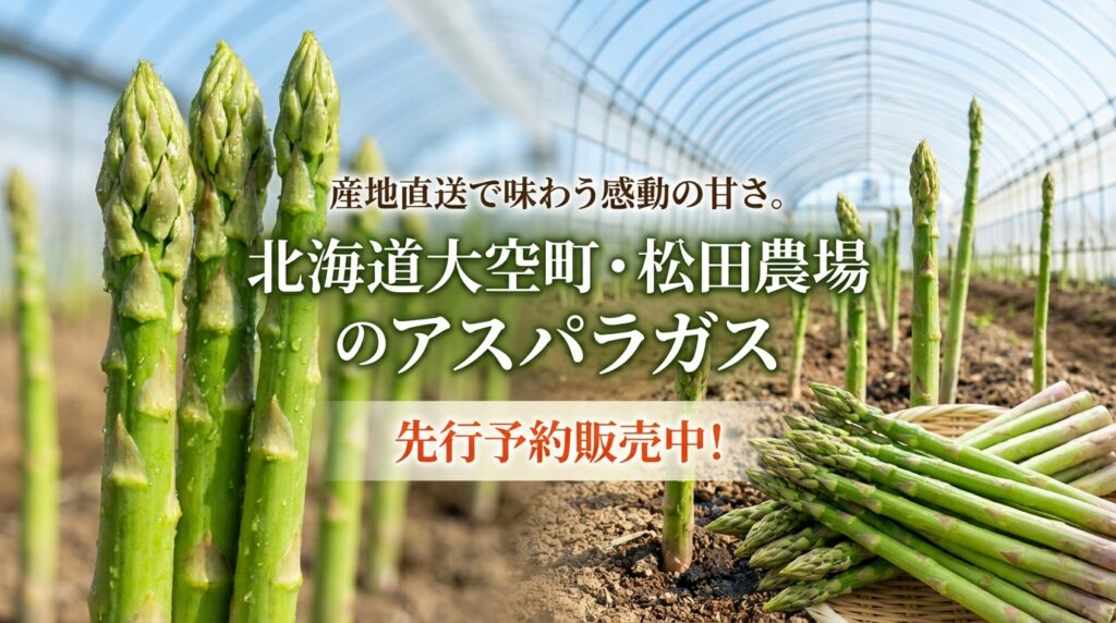 産地直送で味わう感動の甘さ。北海道大空町・松田農場のアスパラガス先行予約販売中！