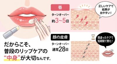 唇にリップクリームを塗る様子と、唇と顔の皮膚のターンオーバーの違いを説明するイラスト