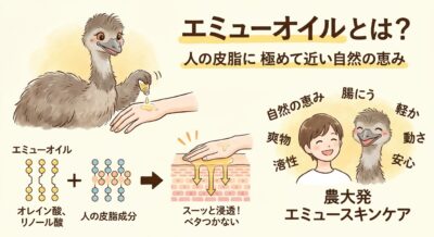エミューオイルが肌に浸透する様子と、その効果を示すイラスト。エミューと子供が笑顔で描かれている。